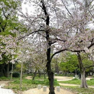 テニスショップ裏日記