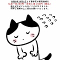 墓参花価格改定について