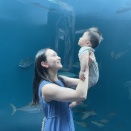 孫とおでかけ　霧の森と宇多津水族館