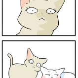 何も言ってないのに全部伝わる猫