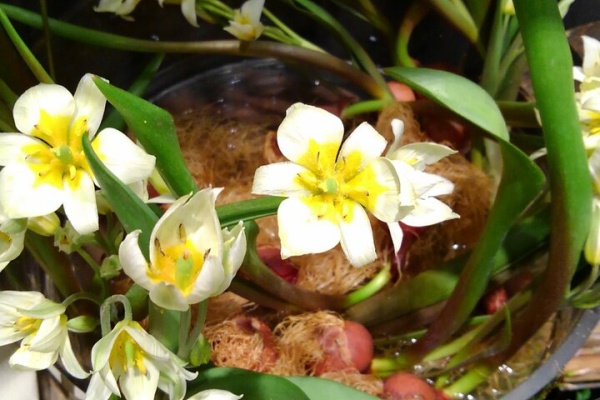 渋谷 代官山タウン情報 花屋 渋谷 代官山タウン情報 花屋