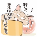 消えたもちもち