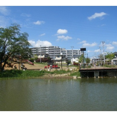 八千代市の公園計画について 八千代市政を考えるブログ