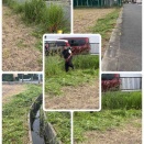 耕運からの草刈り