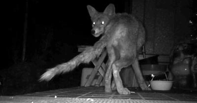 近所の現場　前編