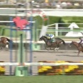 【競馬】マーチSは角田大和騎乗のサンデーファンデーがV
