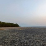 大阪　団塊世代の趣味と生活のブログ。