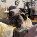 水曜日の、さんちゃん。