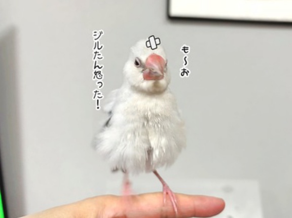 荒くれ者を成敗する