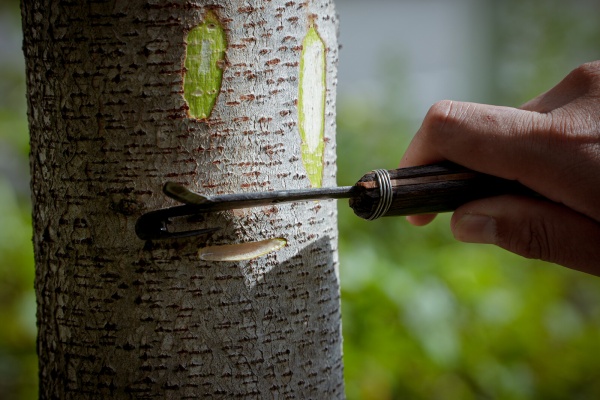 政藝一如の大井川めんぱ大井屋＠店主前田佳則