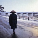 西洲の菩薩行１２５   第十五章  従地涌出品 その２（虚空から大地へ）