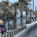 笑顔とは 覚悟の先の 春の道
