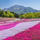 2026/04/01　4月5月大会＆ショー情報