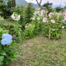 ゆり⚜️＆芙蓉＆紫陽花