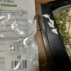 うさぎのきた道