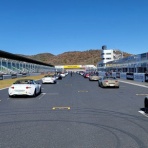 ヨネヨネのパドック