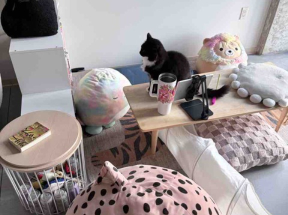 【ご飯日記】ずっと腹ペコ・ビーチな日曜日・模様替えして猫様スペース