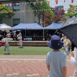 むくげの花