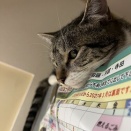 宗教を心の拠り所にする…それは洗脳であってはならない