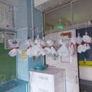 宿泊学習前日