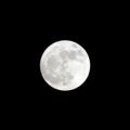 星に願いを 月に祈りを