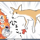 ブランケット問題