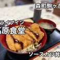 森町駒ヶ岳にある食堂「ドライブイン髙原食堂」さんに伺い ソースカツ丼をキメてきました！