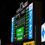 全国ツバメ軍団日誌！
