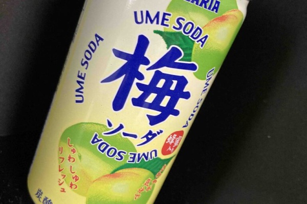 ジュース愛好家のnewブログ サンガリア