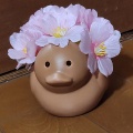 ありがとうございました🌸