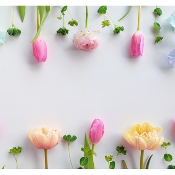 気になる春服をピックアップ（2026）