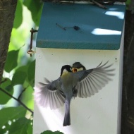 【夏の庭】新しい世界に踏み出す第一歩はいつも尊い！