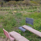 みなさまのおかげ様！　と　身に染みる！！