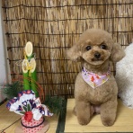 tamariのたまりば