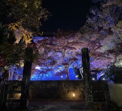 【3-3】長崎＆佐賀イベント・お出かけ情報！　12月5日（金）〜11日（木）