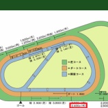 『【神戸新聞杯】旨味は非ダ―ビー組』の画像