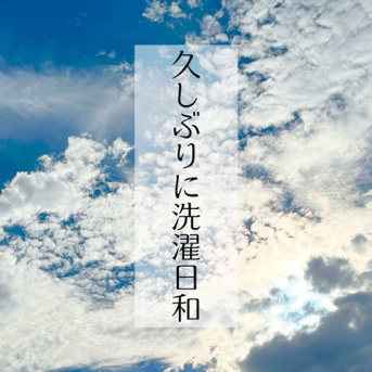 久しぶりの洗濯日和！大物を一気に洗濯しました！