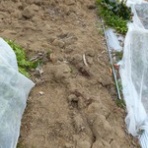 毎日が日曜　晴耕雨読な日々