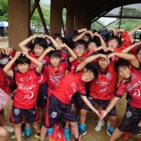 『ひとつになる』の画像