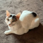 moroのハンドメイド