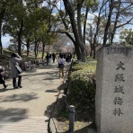 吉野若旦那会のblog