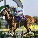 BOSS猿のアナログ肉眼競馬
