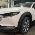 CX-30 ����ή�ʤ����塪������å� SYNCHRO WEATHER