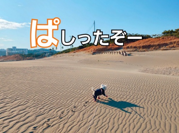 【千葉の旅】月の砂漠公園でぱしってみる。