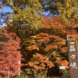 『「岩手・宮城県際マルシェin秋保」11月19日，20日 開催！』の画像