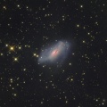 きりん座　NGC2146