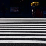 セカンドライフは楽しく