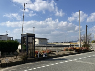 自治会花壇 夏の花抜取り