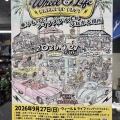 Wheel&Life