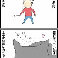 フードで難しい猫、ルーシーの場合